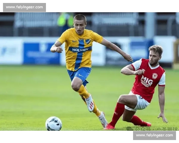 基于主客场表现的足球赛数据深入分析与预测研究 基于主客场表现的足球赛数据深入分析与预测研究